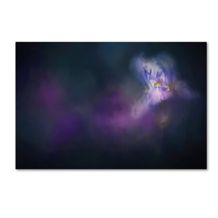 Jai Johnson 'Iris Whisper' Canvas Art,30x47